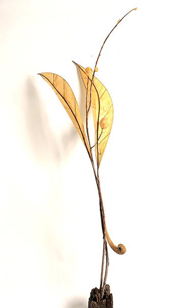 FOLIO 2019  Vesna Breznikar  30W x 79H x 12D  Willow, parchment, bronze wire, shellac and wood post